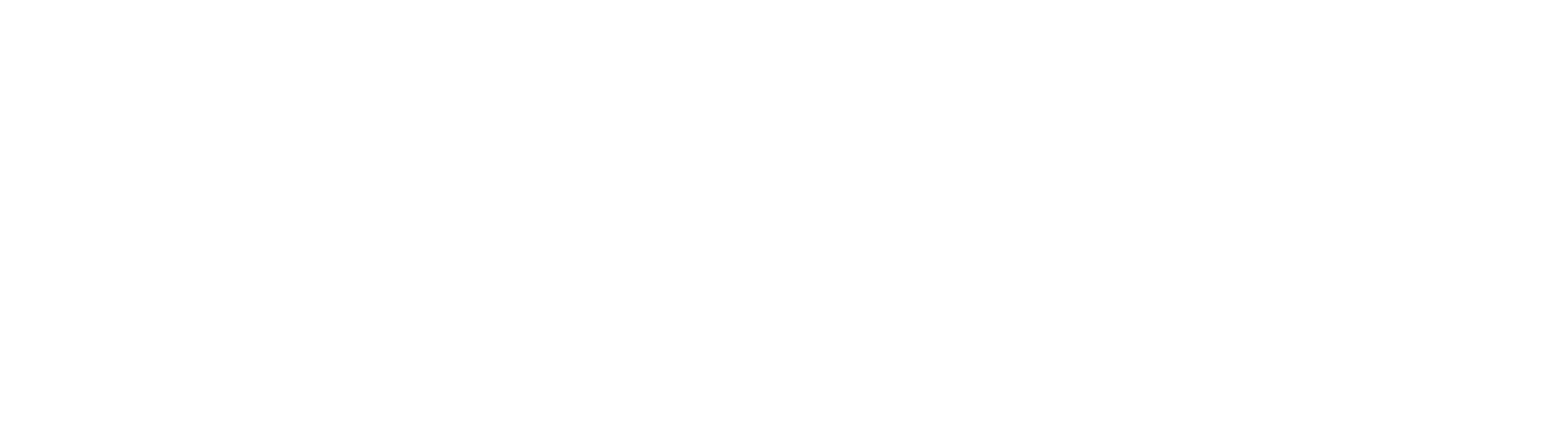 QI – Quality Identity